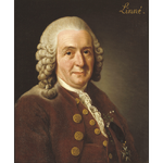 Carl von Linné