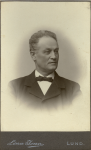Martin Johan Julius Weibull